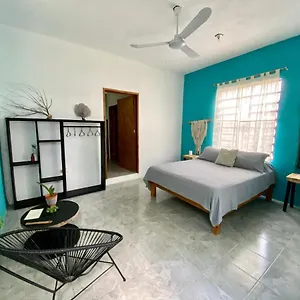  Appartement Cada Iguana, By Jungla 5ta Av.