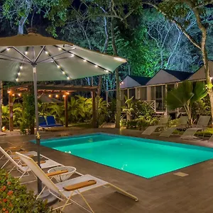  Hotel Zensus