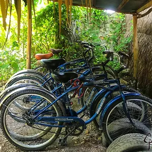 Guest house Guarumbo, Bacalar